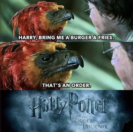 Harry Potter a Fénixův řád meme
