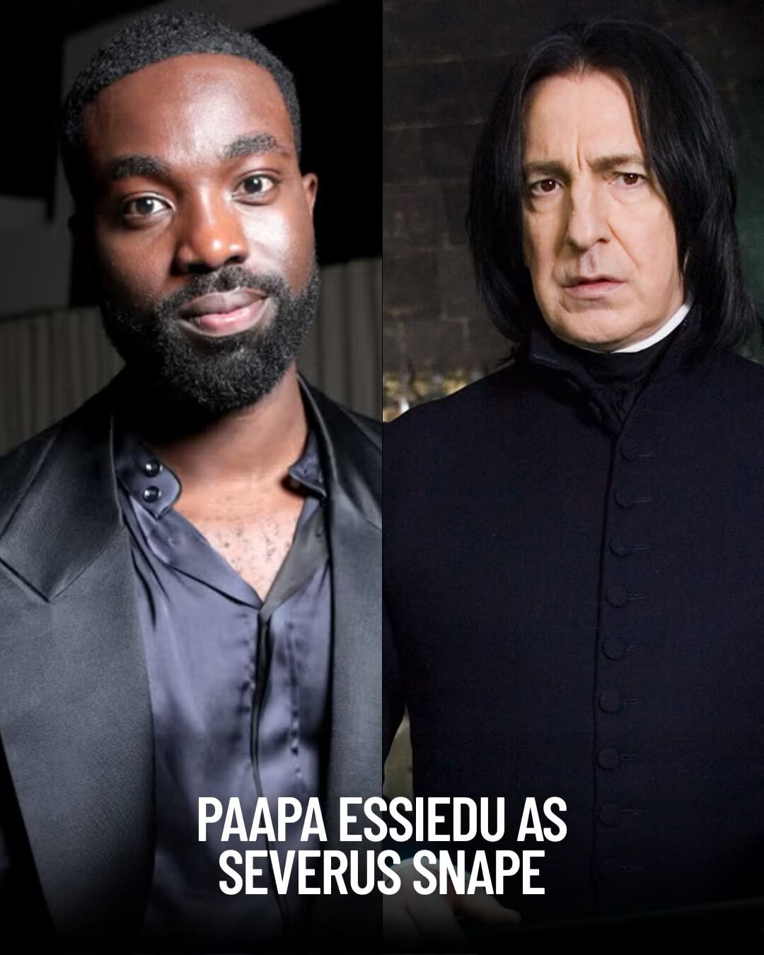 novy Severus Snape serial Harry Potter Svet kouzel