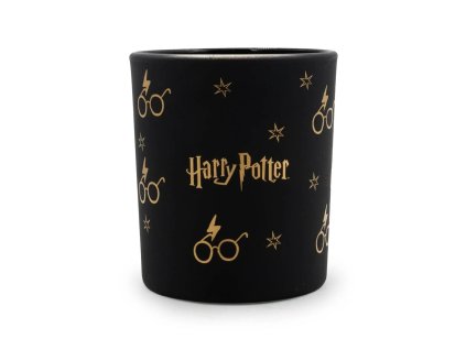 Harry Potter svicka bryle a blesk Svet Kouzel 1