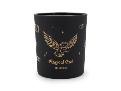 Harry Potter svicka Hedvika a dopis z bradavic Svet Kouzel