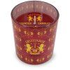 Harry Potter svicky Nebelvir Svet kouzel 1