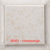 30301 champange