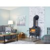 Kanadské krbové kachle Regency F1150 1