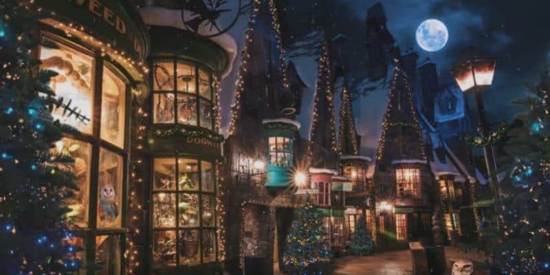 Harry Potter Vánoce Svět kouzel