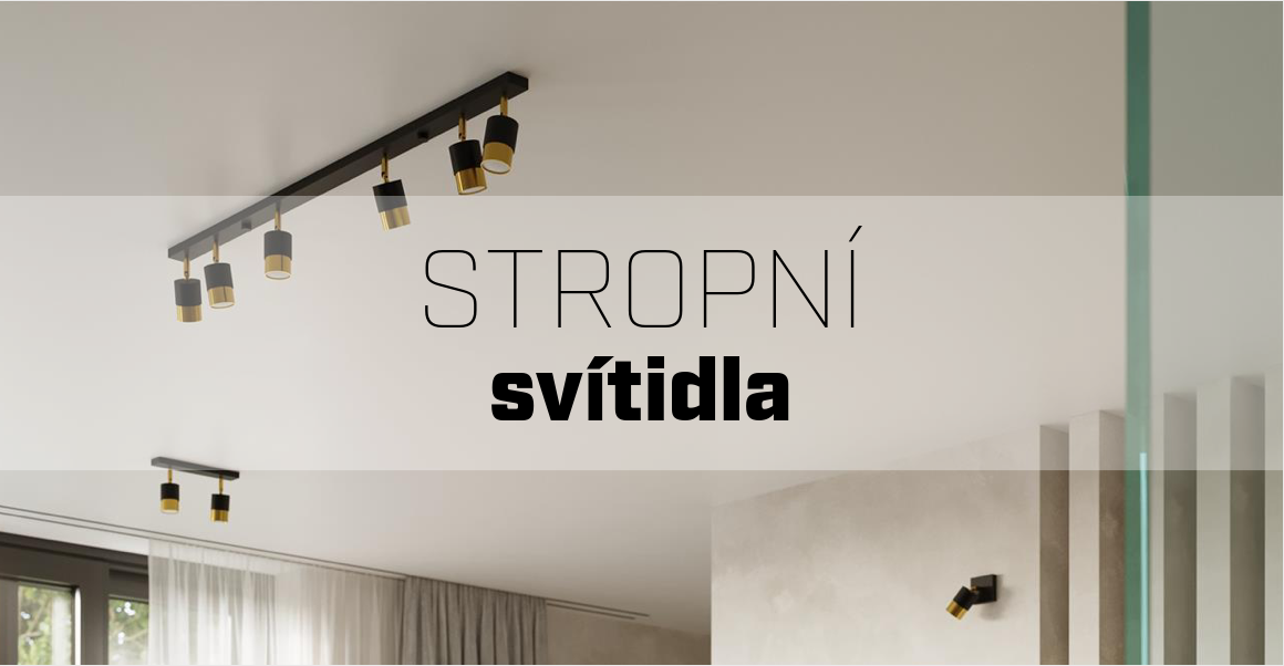 Stropní svítidla