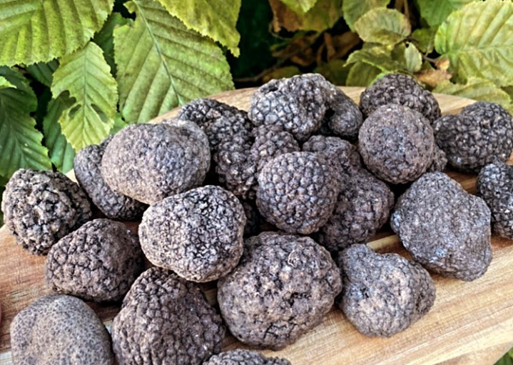 Kolik stojí lanýže