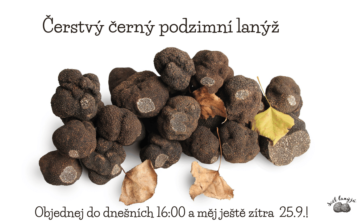 Černý podzimní lanýž