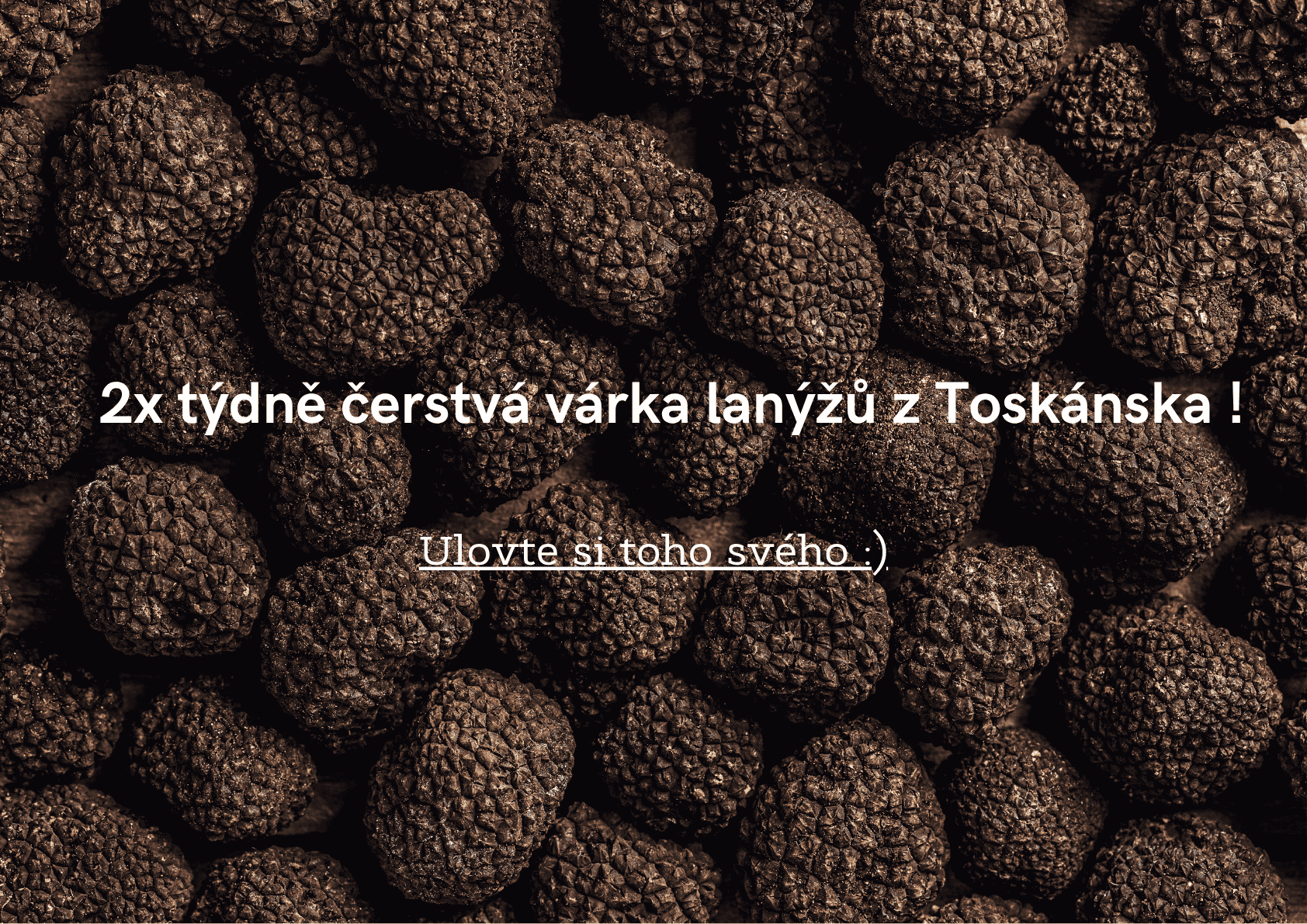 Černý letní lanýž