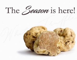 Právě jsme zahájili předprodej na bílé lanýže 🤩. . . . #tartufobianco #tubermagnatumpico #bílýlanýž #bílélanýžezalby...