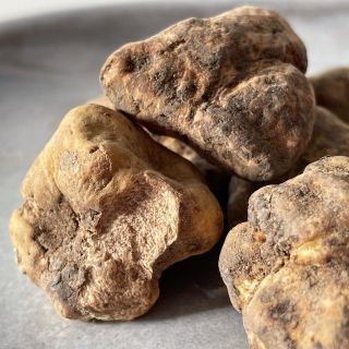 Královské bílé lanýže ➡️ naskladňujeme 2x týdně. Ještě par kousků, které odešleme v pondělí máme, tak rychle pro ně! . ....