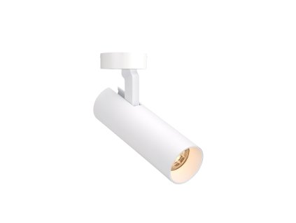 18953 maxlight c0209