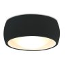 18224 maxlight c0204