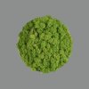 Chamaleon disk moss green
