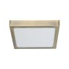 PREZENT  |  CEILING LED  |  LENYS SQ IV.  | 49063
