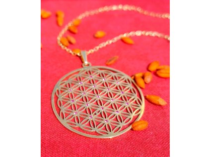 Květ života stříbrný pozlacený s rubínovými zirkony - stříbro (Ag) 37mm vč. řetízku (reg.č. u Puncovního úřadu 15437)