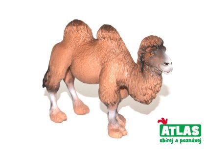 C - Figurka Velbloud 11cm, Atlas, W101847