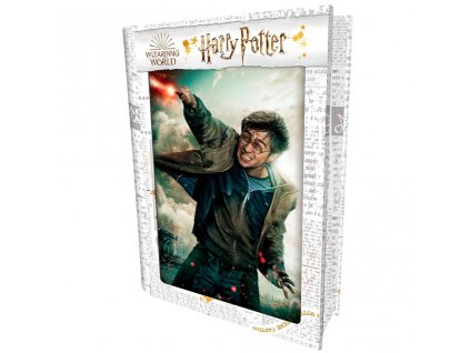 3D PUZZLE Harry Potter-Harry Potter 300ks, W019133