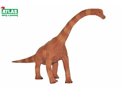 G - Figurka Dino Brachiosaurus 30cm, Atlas, W101830