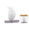 Set karneval - čelenka pštrosí peří, Wiky, W026116