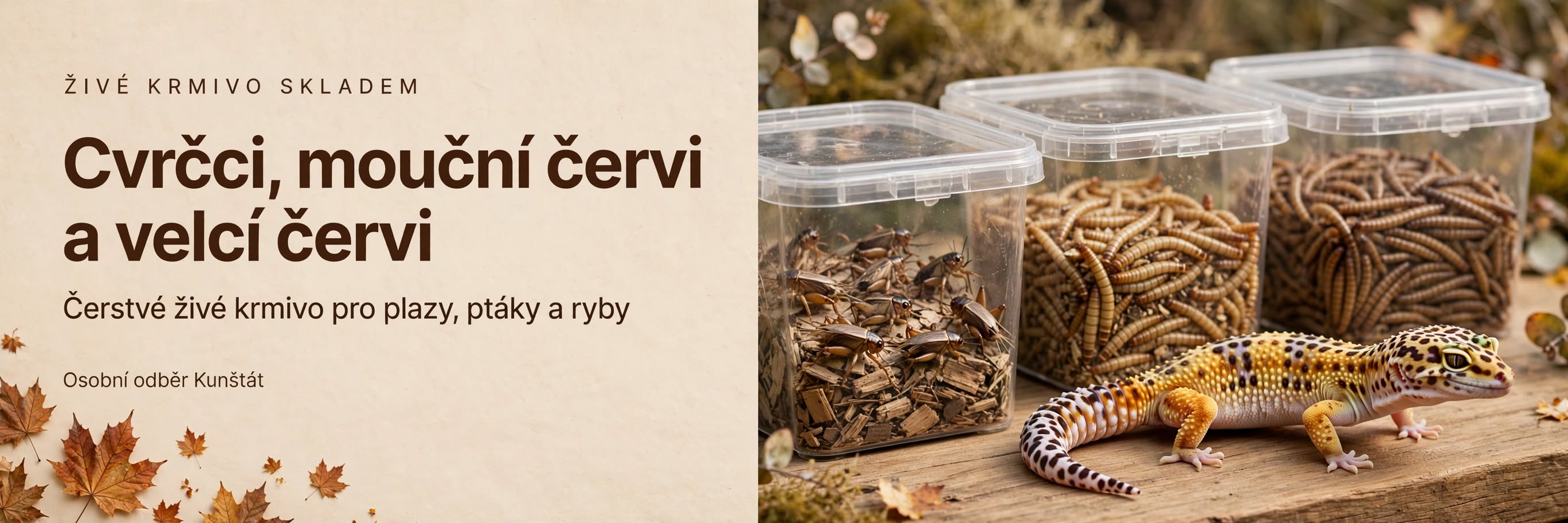 Cvrčci