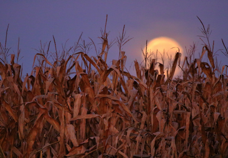 2023: Využijte sílu úplňku v září ve svůj prospěch!
