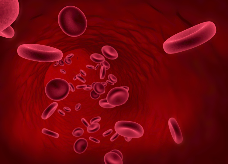 Chraňte své zdraví: Vybíráme minerály, které podpoří krevní oběh i srdce