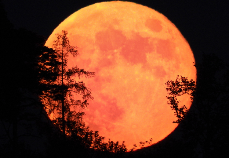 Lovecký úplněk je tady. Zatočte se zlozvyky a pamatujte si své sny