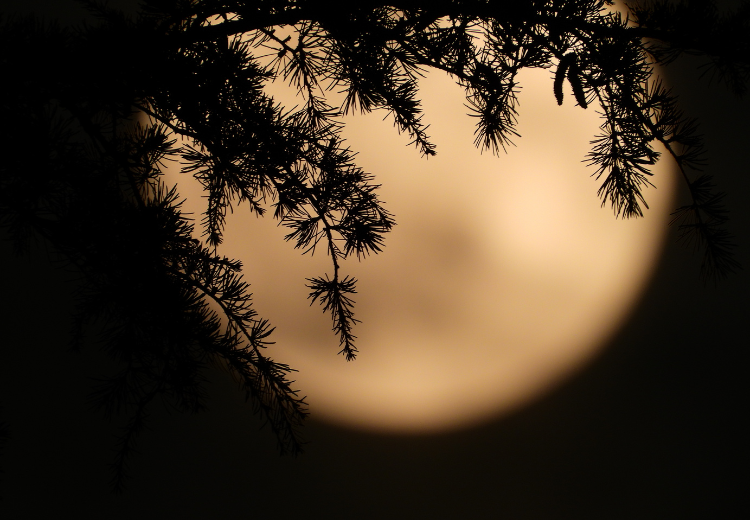 Říjnový úplněk v Beranu 2024: Lovecký úplněk a jeho intenzivní vliv na naše emoce a tělo