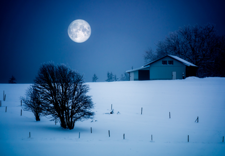 Prosincový úplněk ve znamení Blíženců: Poslední lunární představení roku 2024 přináší rovnováhu a vnitřní oheň