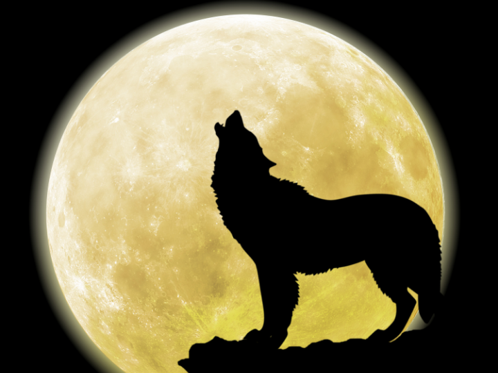 Vlčí úplněk odstartuje silné měsíční energie nového roku 2021