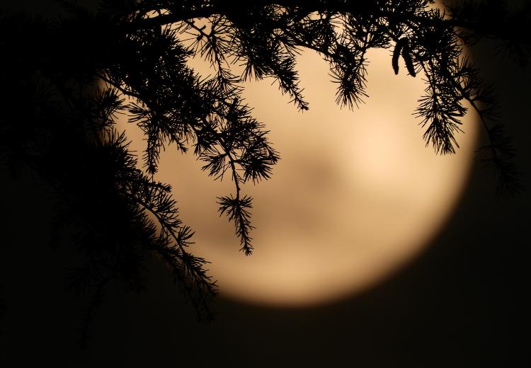 Poslední úplněk roku je tady. Myslete na sebe a skoncujte se zlozvyky