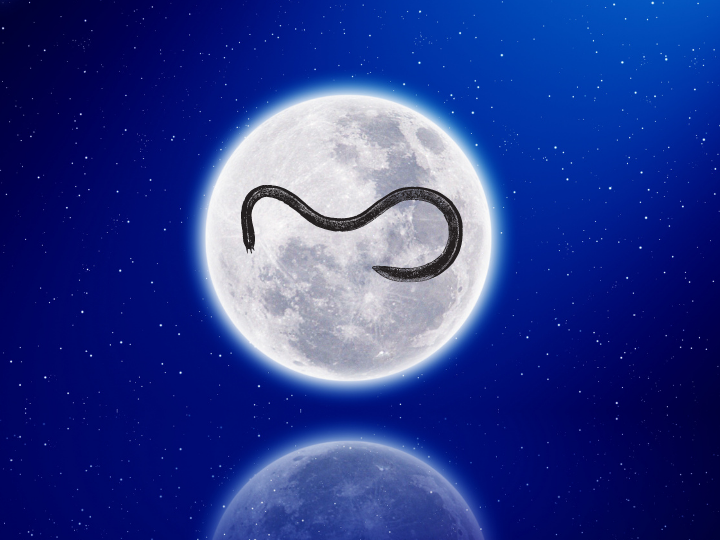 V březnovém tzv. červím úplňku ve znamení Panny myslete hlavně na své zdraví