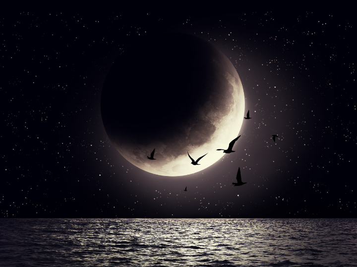 Duben 2021: Dubnové poselství pro novoluní ve znamení Berana