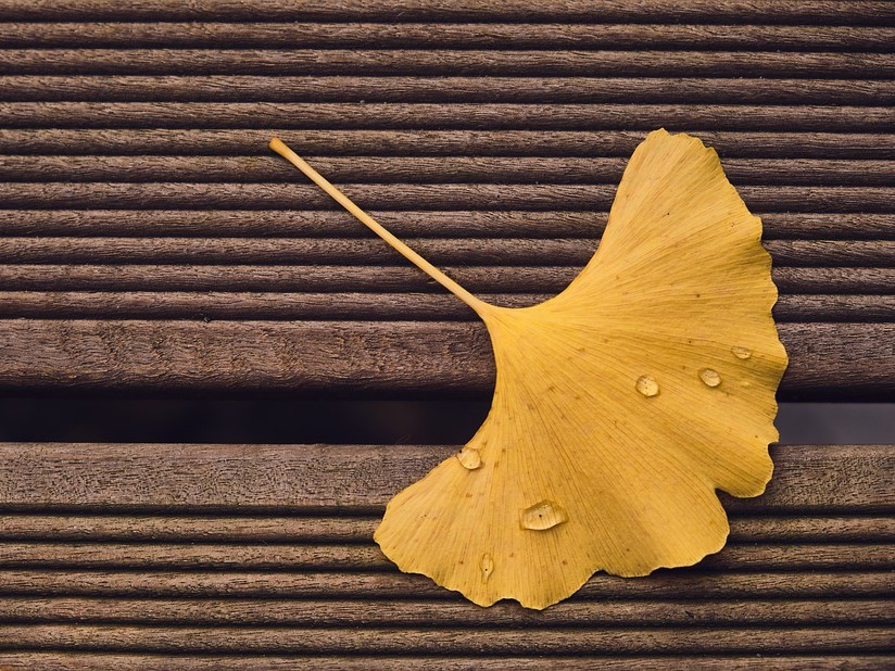 Máte v pořádku paměť? Zlepšit ji můžete i pomocí drahých kamenů