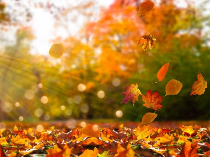 Kouzelné kameny pro podzimní naladění. Nebojte se podráždění a ztráty energie, pomůžeme!