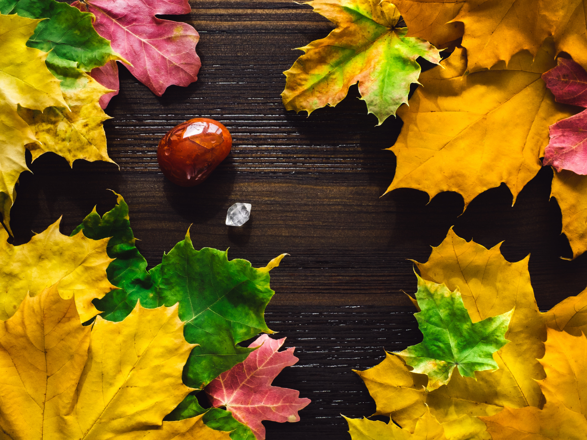 Kouzelná podzimní energie, která zahřeje ruce i duši.