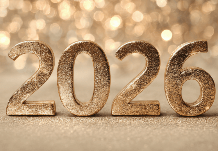 Dali jste si novoroční předsevzetí? Dodržet vám ho pomohou minerály