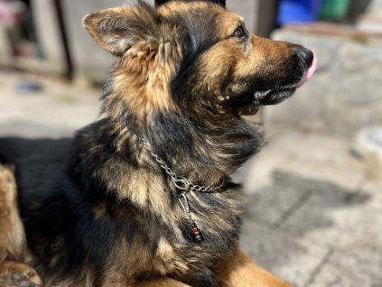 33834 3 af6b06b3 19a4 433b a60c 825fc011849b