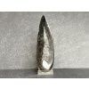 28401 orthoceras placka xl