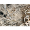 34213 10 unikatni dekorace xxxl rozmeruze zkameneleho dreva lesteny plat zkamenele drevo