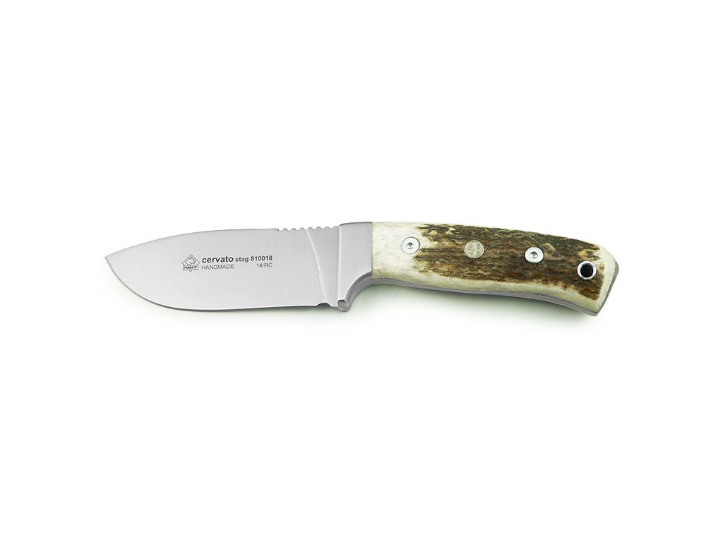 5042 puma ip cervato stag 810018