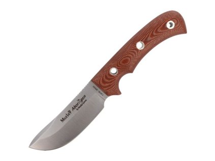 2564 noz muela aborigen 12c