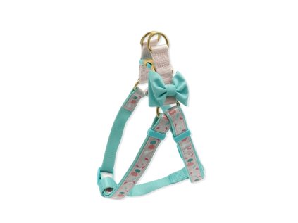 Bowtie charm postroj