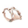 Active comfort - postroj pro psy