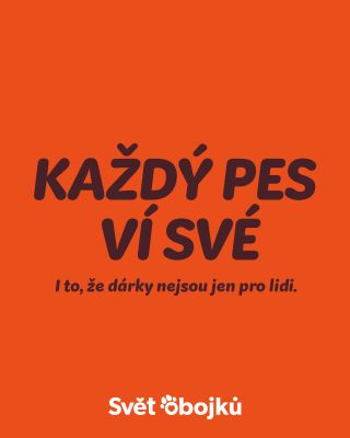 Každý pes ví své. I to, že dárky nejsou jen pro lidi. 🎄🎁🐶 #svetobojku #darkypropejsky #psivanoce #oznackovano...