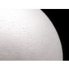 Guľa Ø20 cm polystyrén (Varianta biela)