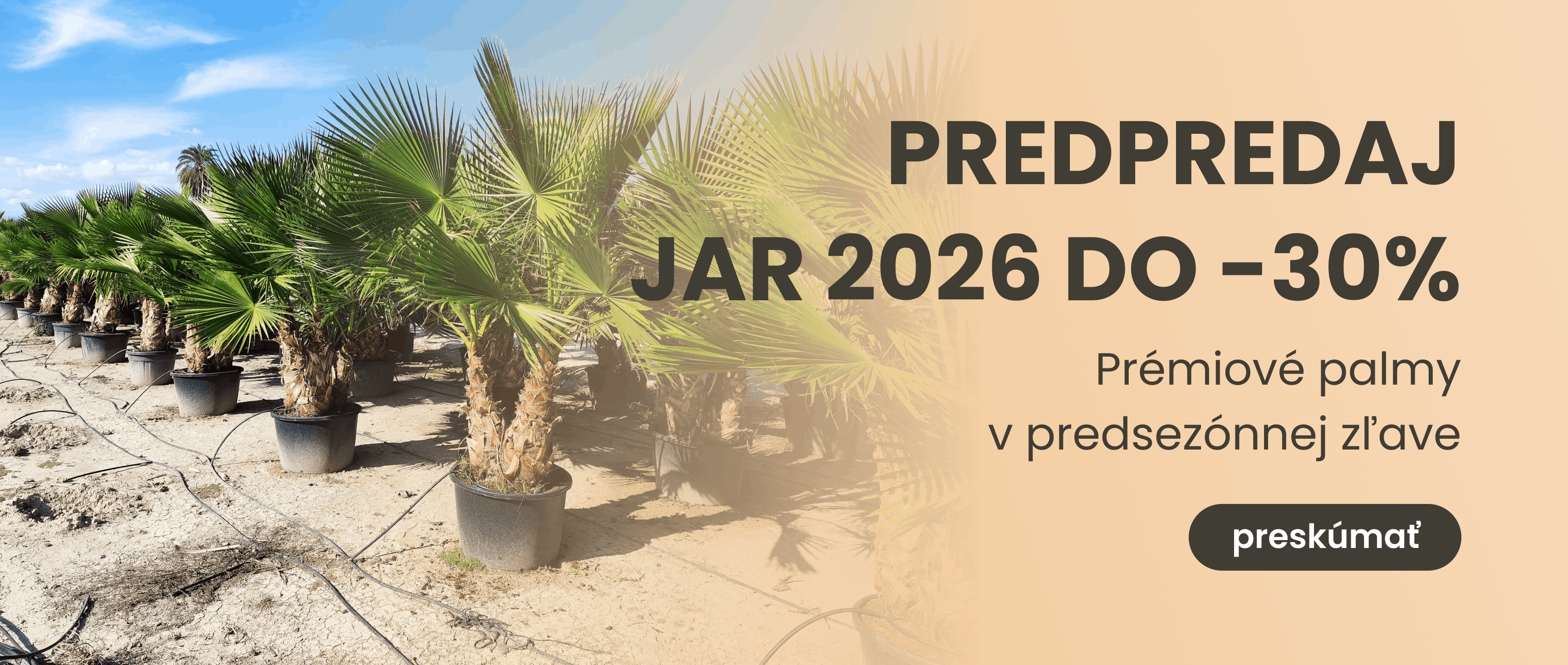 Predpredaj jar 2026