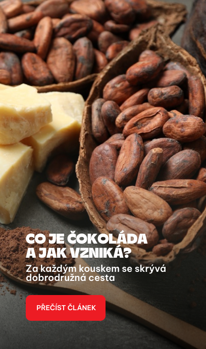 Co je čokoláda a jak vzniká? Článek