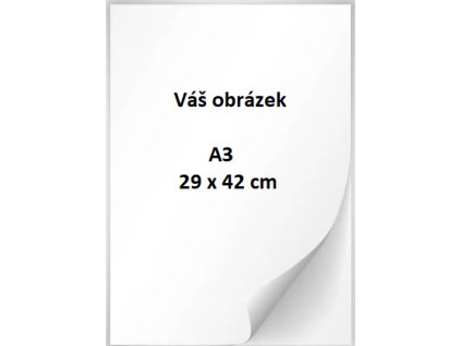 Fondánový list A3 tisk