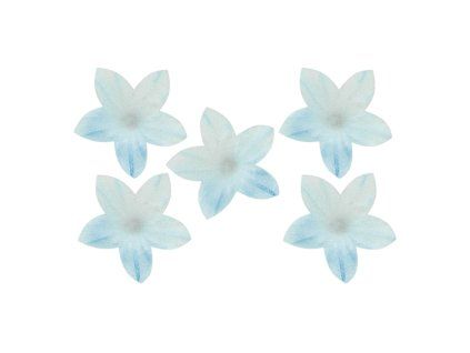 Jedlá dekorace na dort, modrobílý šeřík 2 cm